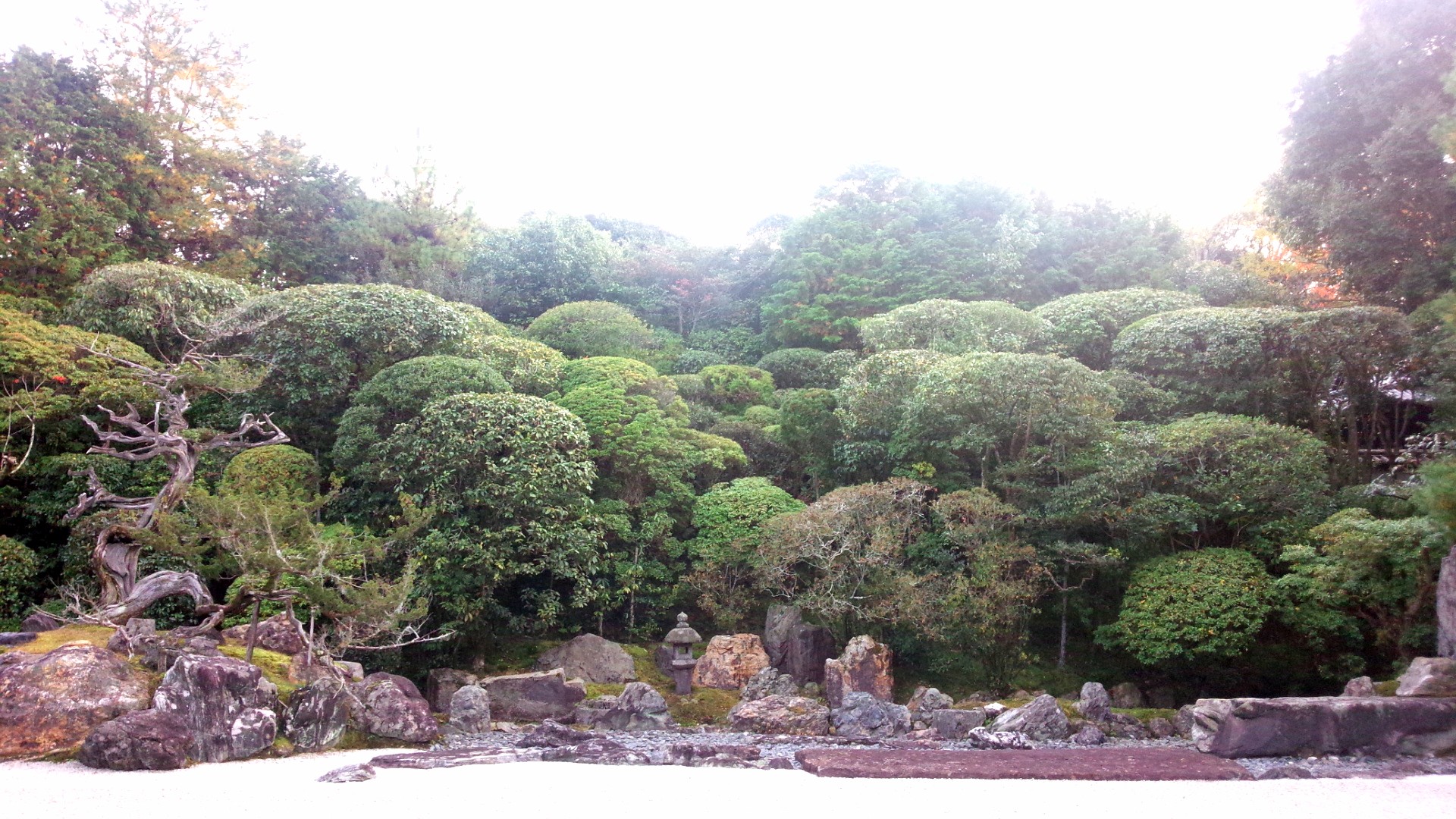 京都 金地院 鶴亀の庭