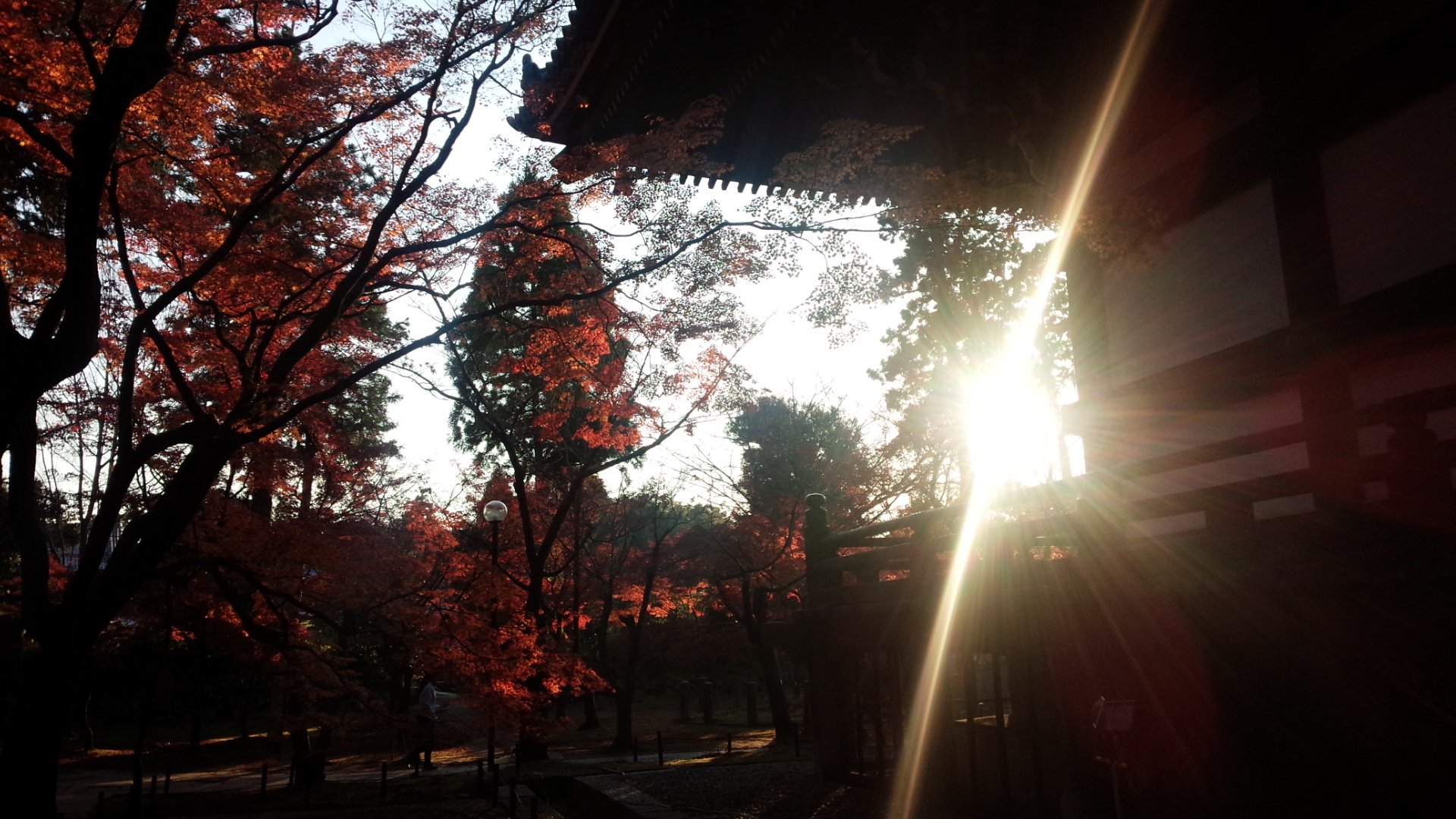 京都　夕方の真如堂