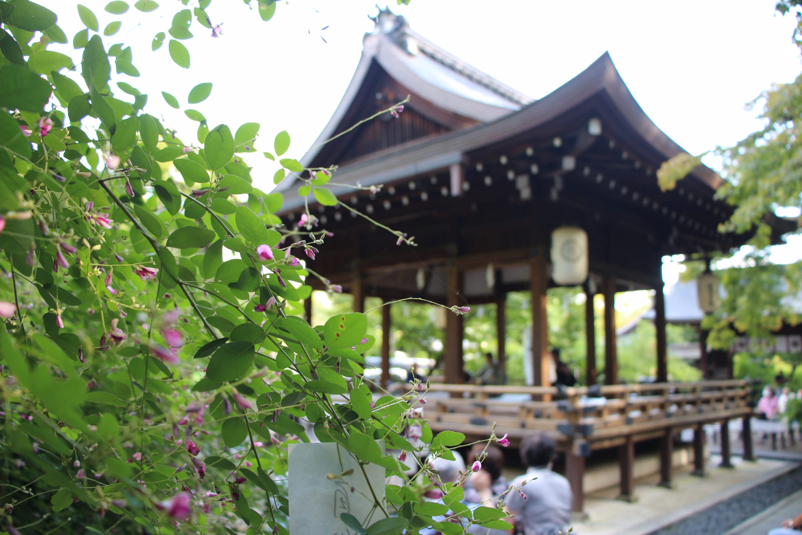 梨木神社の萩まつり