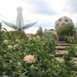 10月のバラ【ピース】＠万博記念公園平和のバラ園